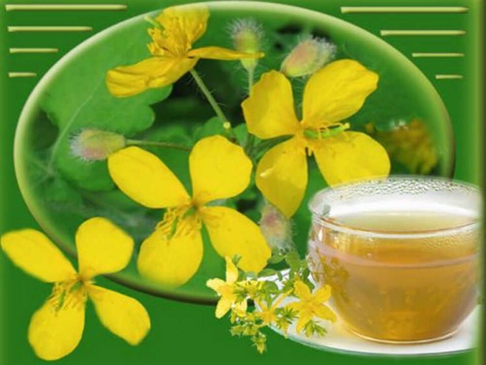 decoction with celandine for nail fungus